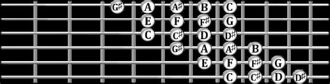 What Is Tonality in Music: A Journey Through the Chromatic World